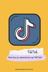 adverteren tiktok